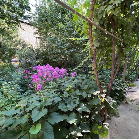 Lovely Home أوش المظهر الخارجي الصورة